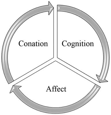 Factors affecting consumer attitudes towards using digital media platforms on health knowledge communication: Findings of cognition–affect–conation pattern